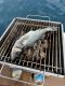 IMG-20250427-WA0048