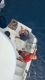 IMG-20250427-WA0050
