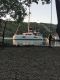 IMG-20250429-WA0050