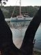IMG-20250429-WA0051