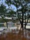 IMG-20250429-WA0057
